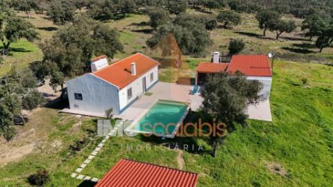 Herdade em Almeirim com 139 Hectares | Propriedade Agroflorestal no Ribatejo