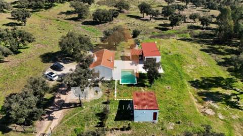 Herdade em Almeirim com 139 Hectares | Propriedade Agroflorestal no Ribatejo