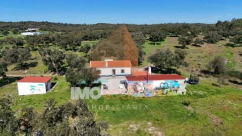 Herdade em Almeirim com 139 Hectares | Propriedade Agroflorestal no Ribatejo