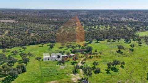 Herdade em Almeirim com 139 Hectares | Propriedade Agroflorestal no Ribatejo