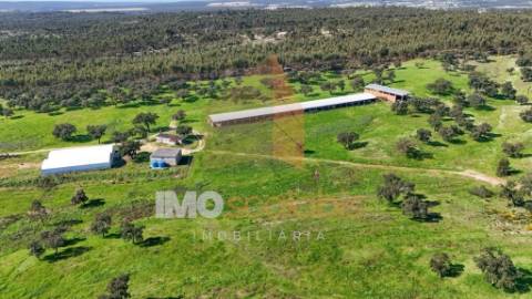 Herdade em Almeirim com 139 Hectares | Propriedade Agroflorestal no Ribatejo