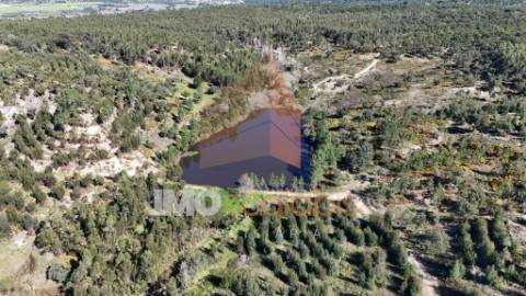 Herdade em Almeirim com 139 Hectares | Propriedade Agroflorestal no Ribatejo