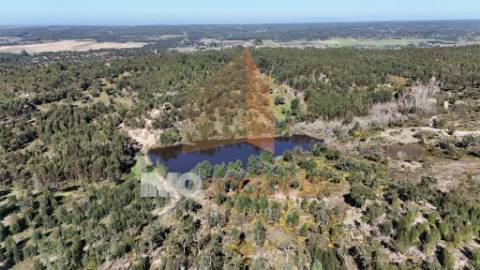 Herdade em Almeirim com 139 Hectares | Propriedade Agroflorestal no Ribatejo