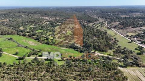 Herdade em Almeirim com 139 Hectares | Propriedade Agroflorestal no Ribatejo