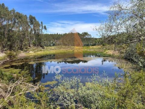 Herdade em Almeirim com 139 Hectares | Propriedade Agroflorestal no Ribatejo