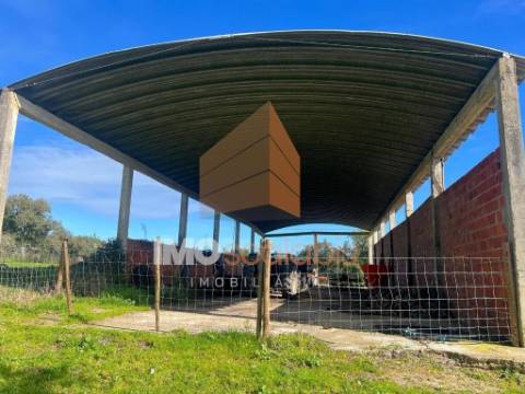 Herdade em Almeirim com 139 Hectares | Propriedade Agroflorestal no Ribatejo