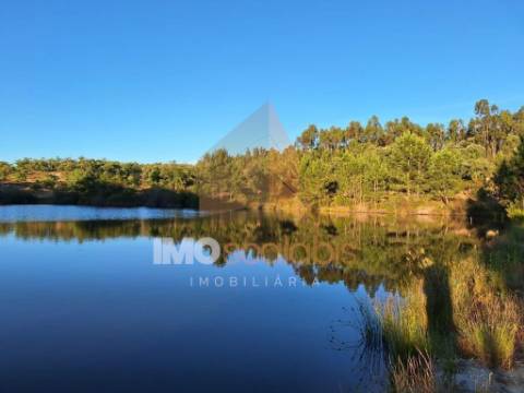 Herdade em Almeirim com 139 Hectares | Propriedade Agroflorestal no Ribatejo