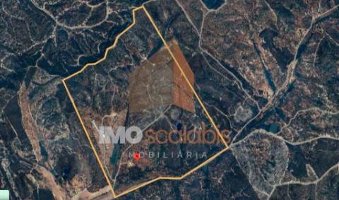 Herdade em Almeirim com 139 Hectares | Propriedade Agroflorestal no Ribatejo