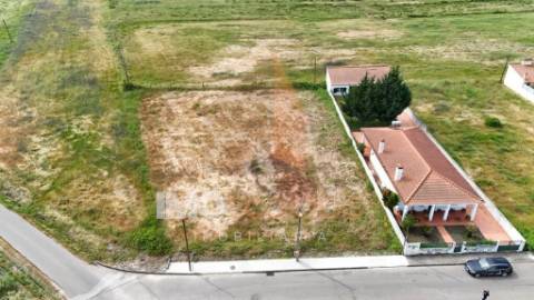 Terreno para Construção em Alpiarça – Excelente Oportunidade de Investimento