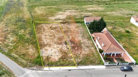 Terreno para Construção em Alpiarça – Excelente Oportunidade de Investimento