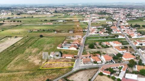 Terreno para Construção em Alpiarça – Excelente Oportunidade de Investimento