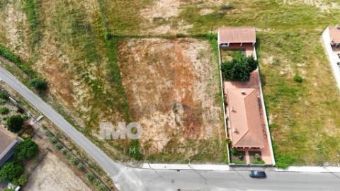 Terreno para Construção em Alpiarça – Excelente Oportunidade de Investimento