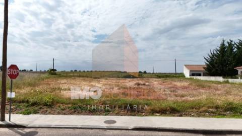 Terreno para Construção em Alpiarça – Excelente Oportunidade de Investimento