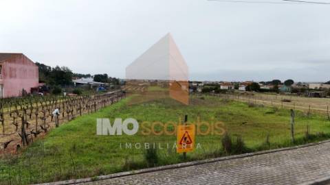 Terreno com Potencial para Projeto de 4 Moradias | Frade de Cima