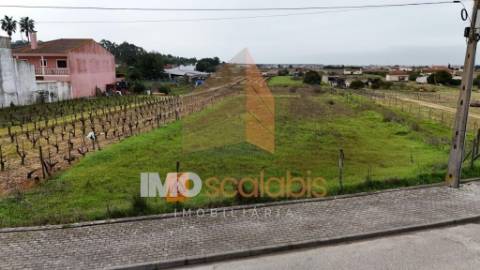 Terreno com Potencial para Projeto de 4 Moradias | Frade de Cima