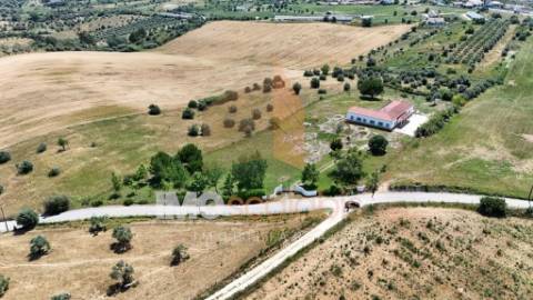 Moradia T4 Térrea Romeira – Santarém | Terreno 1 Hectare