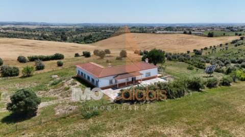 Moradia T4 Térrea Romeira – Santarém | Terreno 1 Hectare