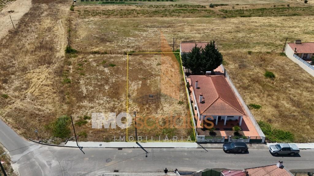 TERRENO EM ALPIARÇA PARA CONSTRUÇÃO 