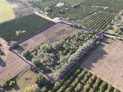 Terreno Rustico em Murtais - Moncarapacho - Fuzeta