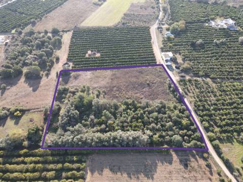 Terreno Rustico em Murtais - Moncarapacho - Fuzeta