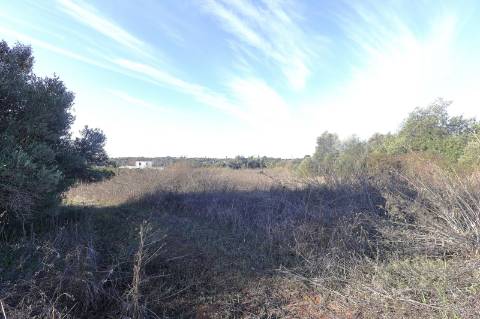 Terreno Rustico em Murtais - Moncarapacho - Fuzeta