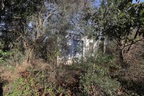 Terreno Rustico em Murtais - Moncarapacho - Fuzeta