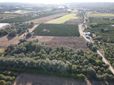 Terreno Rustico em Murtais - Moncarapacho - Fuzeta