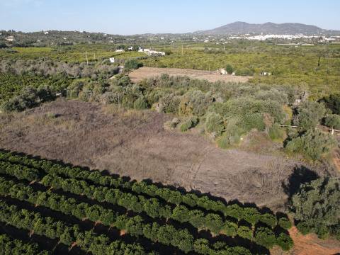 Terreno Rustico em Murtais - Moncarapacho - Fuzeta