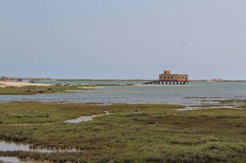 Terreno Rustico em Murtais - Moncarapacho - Fuzeta