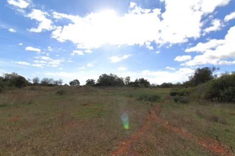 Terreno Rústico em Murtais - Moncarapacho - Olhão