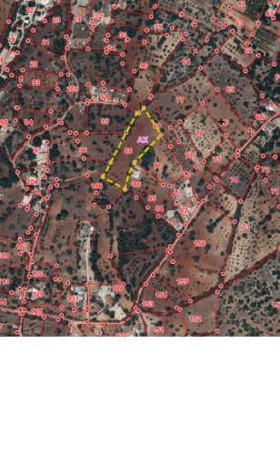 Terreno Rústico em Murtais - Moncarapacho - Olhão