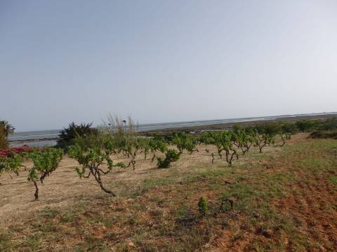 Quinta Rural perto da Fuzeta - Bias Do Sul