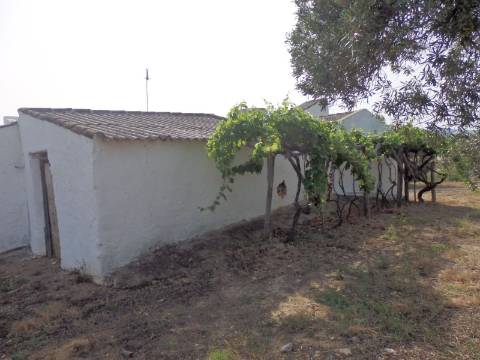 Quinta Rural perto da Fuzeta - Bias Do Sul