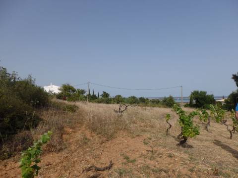 Quinta Rural perto da Fuzeta - Bias Do Sul
