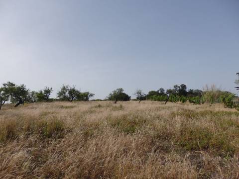 Quinta Rural perto da Fuzeta - Bias Do Sul