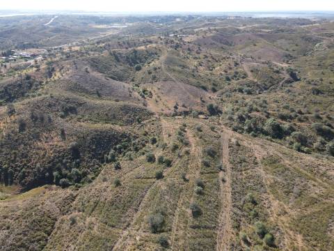 Terreno Rústico em Junqueira - Castro Marim