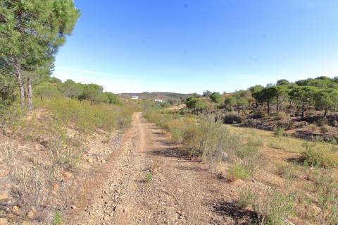 Terreno Rústico em Junqueira - Castro Marim