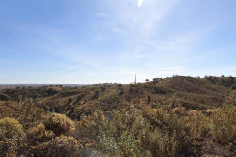 Terreno Rústico em Junqueira - Castro Marim