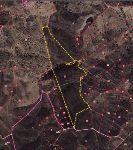 Terreno Rústico em Junqueira - Castro Marim