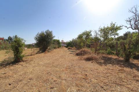 Moradia T1 com Terreno para recuperar em Maragota - Olhão