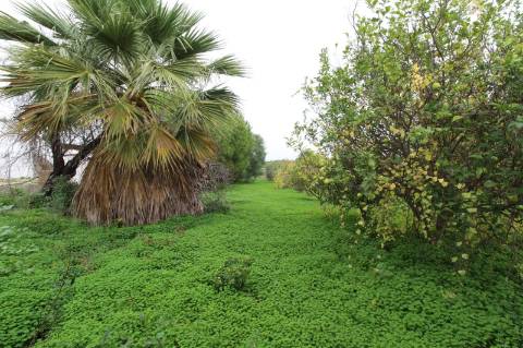 Espectacular Moradia T3 + 1 perto da Fuzeta