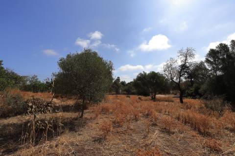 Ruína com Terreno em Moncarapacho