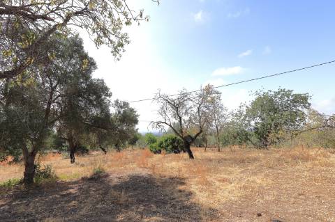 Ruína com Terreno em Moncarapacho