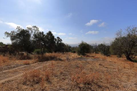 Ruína com Terreno em Moncarapacho