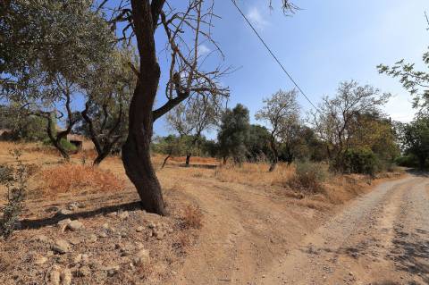 Ruína com Terreno em Moncarapacho