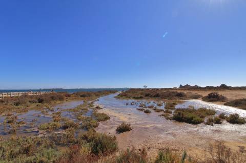 Apartamento T1+1 com garagem box em Marim - Olhão