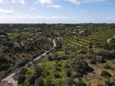 Ruína com Terreno em Asseca - Tavira