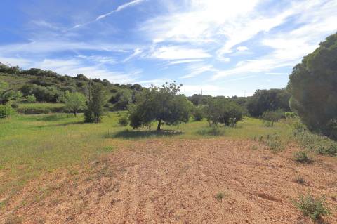 Terreno Urbanizável em Quatrim - Moncarapacho
