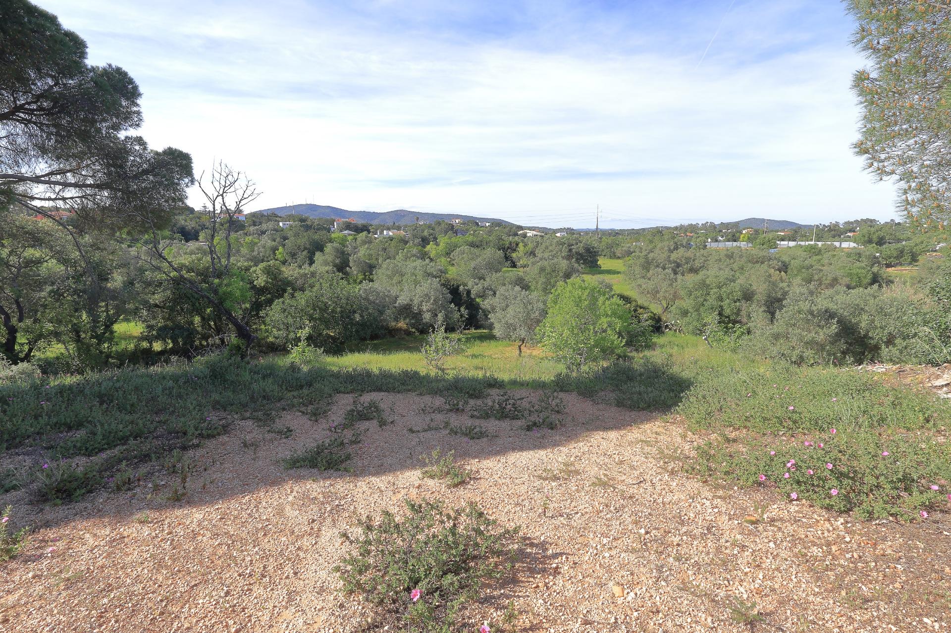 Terreno Urbanizável em Quatrim - Moncarapacho