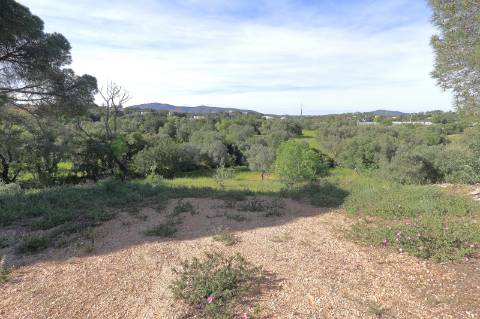 Terreno Urbanizável em Quatrim - Moncarapacho